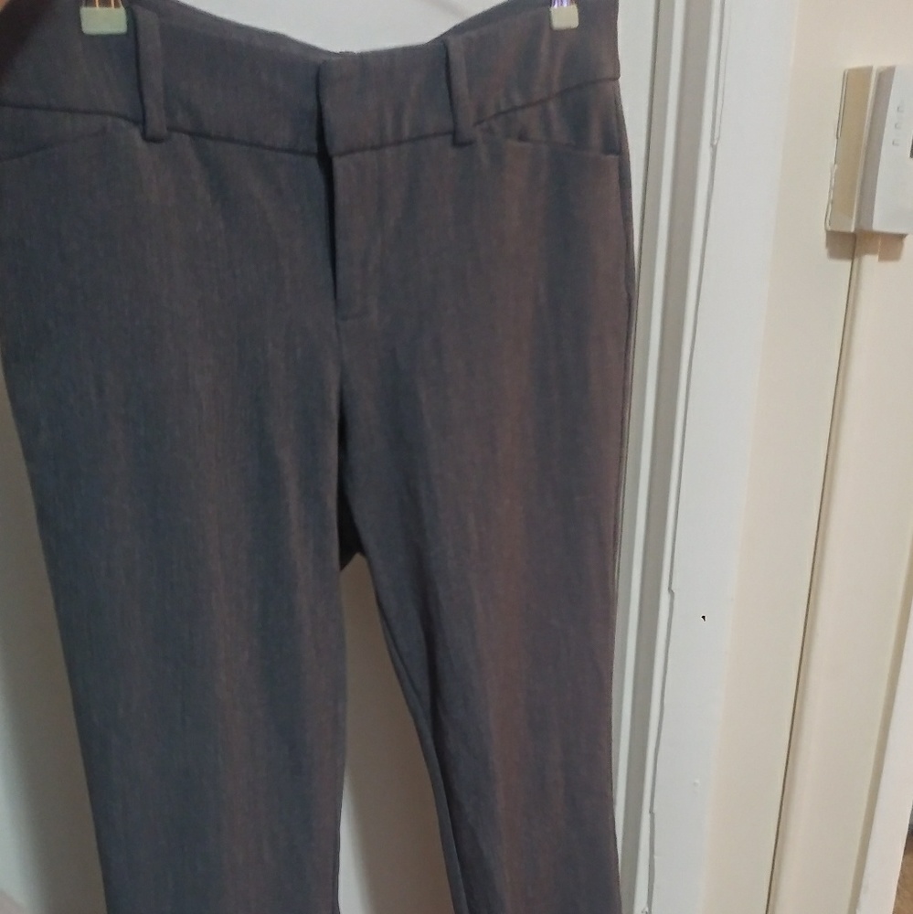 Dress pants